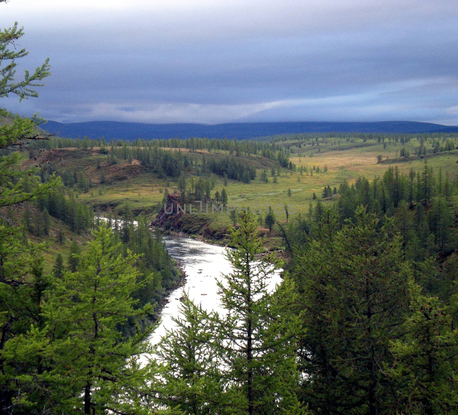 River in the taiga in northern Russia. The nature of the taiga in a mountainous area.
