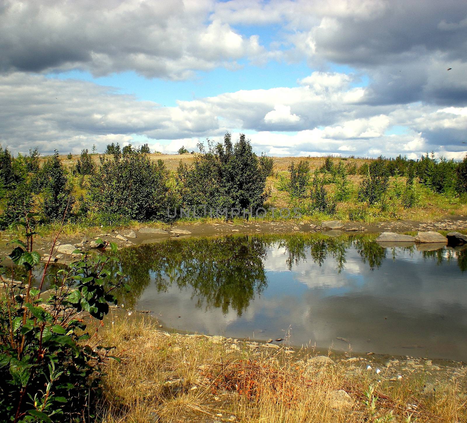 River in the taiga in northern Russia. The nature of the taiga in a mountainous area.