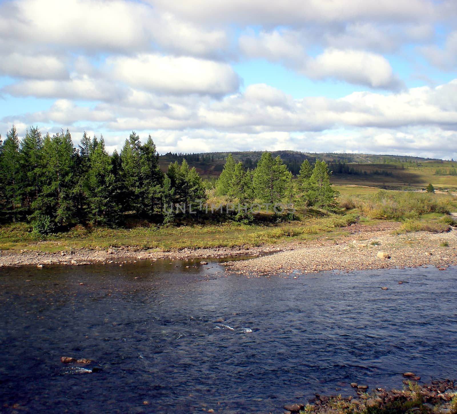 River in the taiga in northern Russia. The nature of the taiga in a mountainous area.