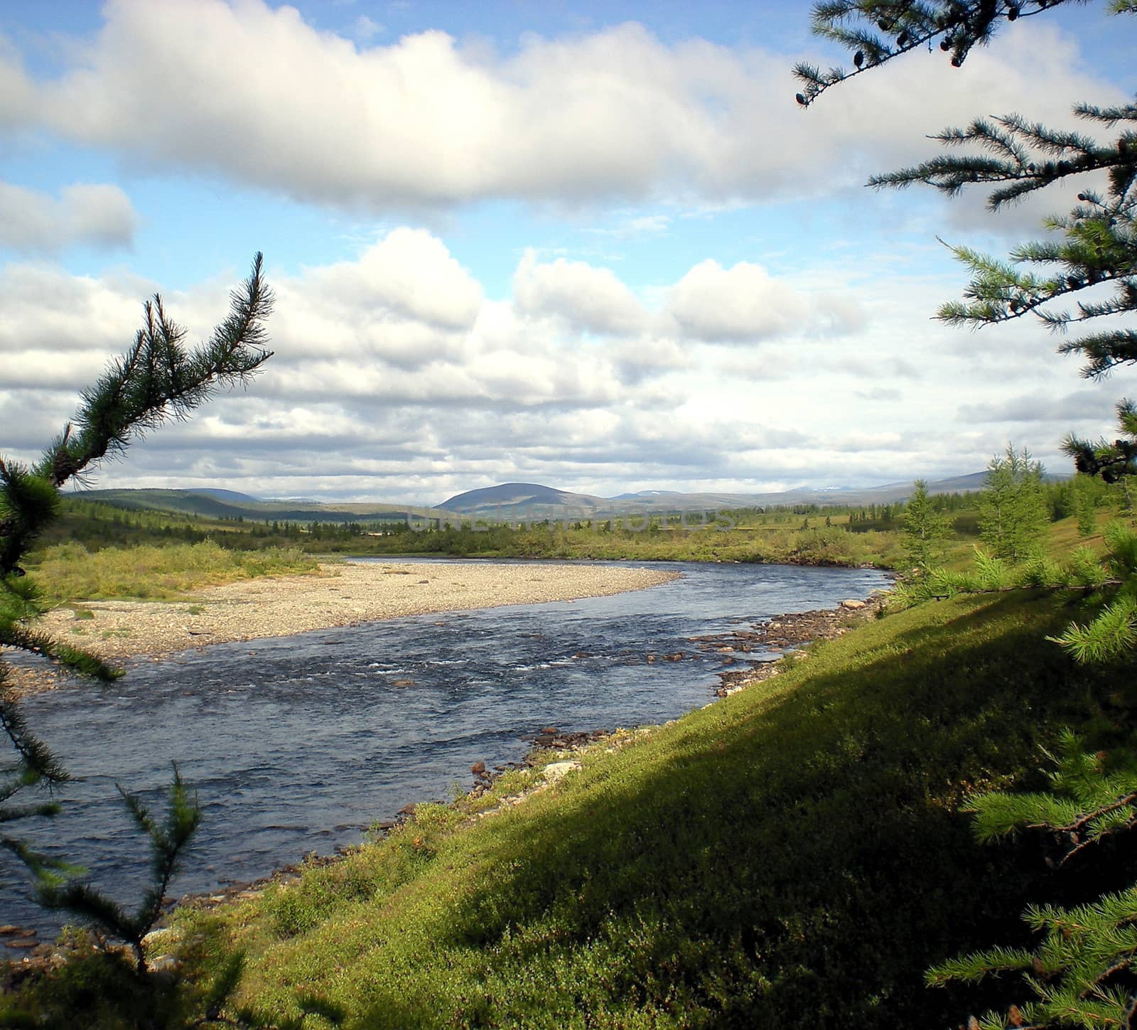 River in the taiga in northern Russia. The nature of the taiga in a mountainous area.