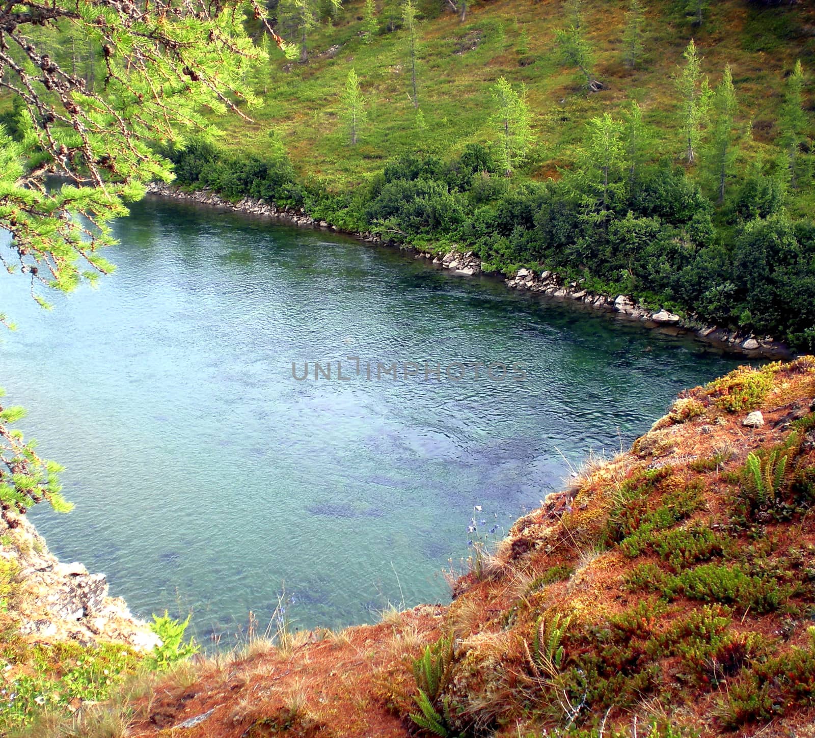 River in the taiga in northern Russia. The nature of the taiga in a mountainous area.