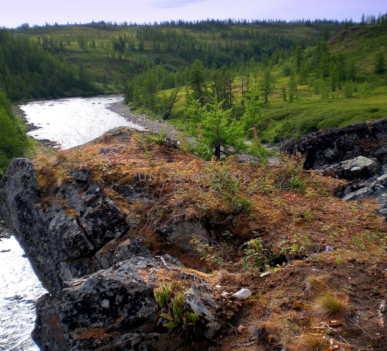 River in the taiga in northern Russia. The nature of the taiga in a mountainous area.