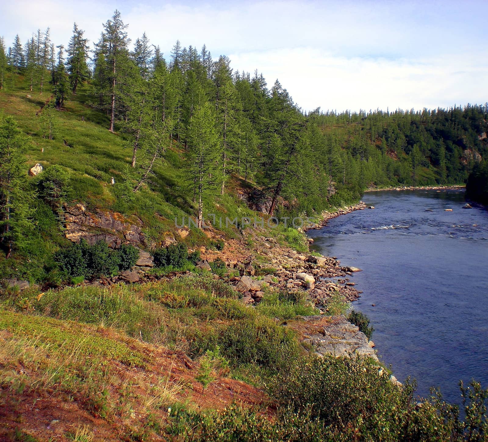 River in the taiga in northern Russia. The nature of the taiga in a mountainous area.