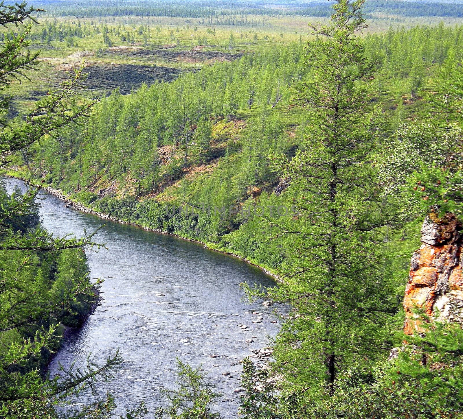 River in the taiga in northern Russia. The nature of the taiga in a mountainous area.