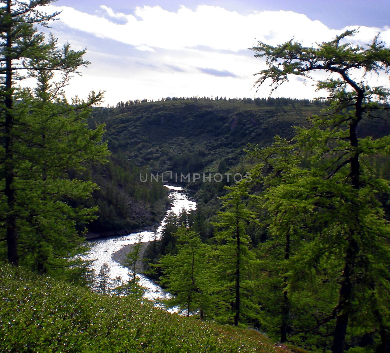 River in the taiga in northern Russia. The nature of the taiga in a mountainous area.