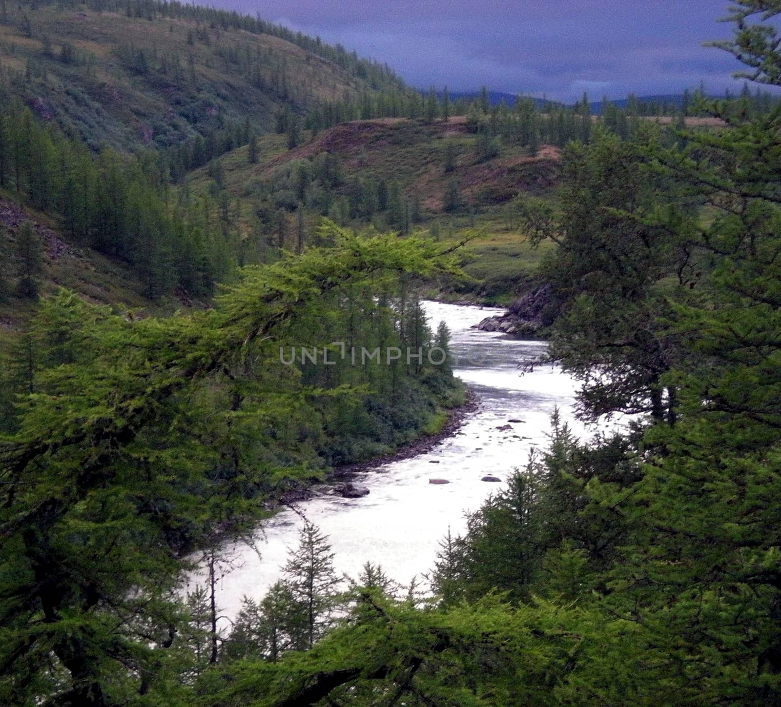 River in the taiga in northern Russia. The nature of the taiga in a mountainous area.