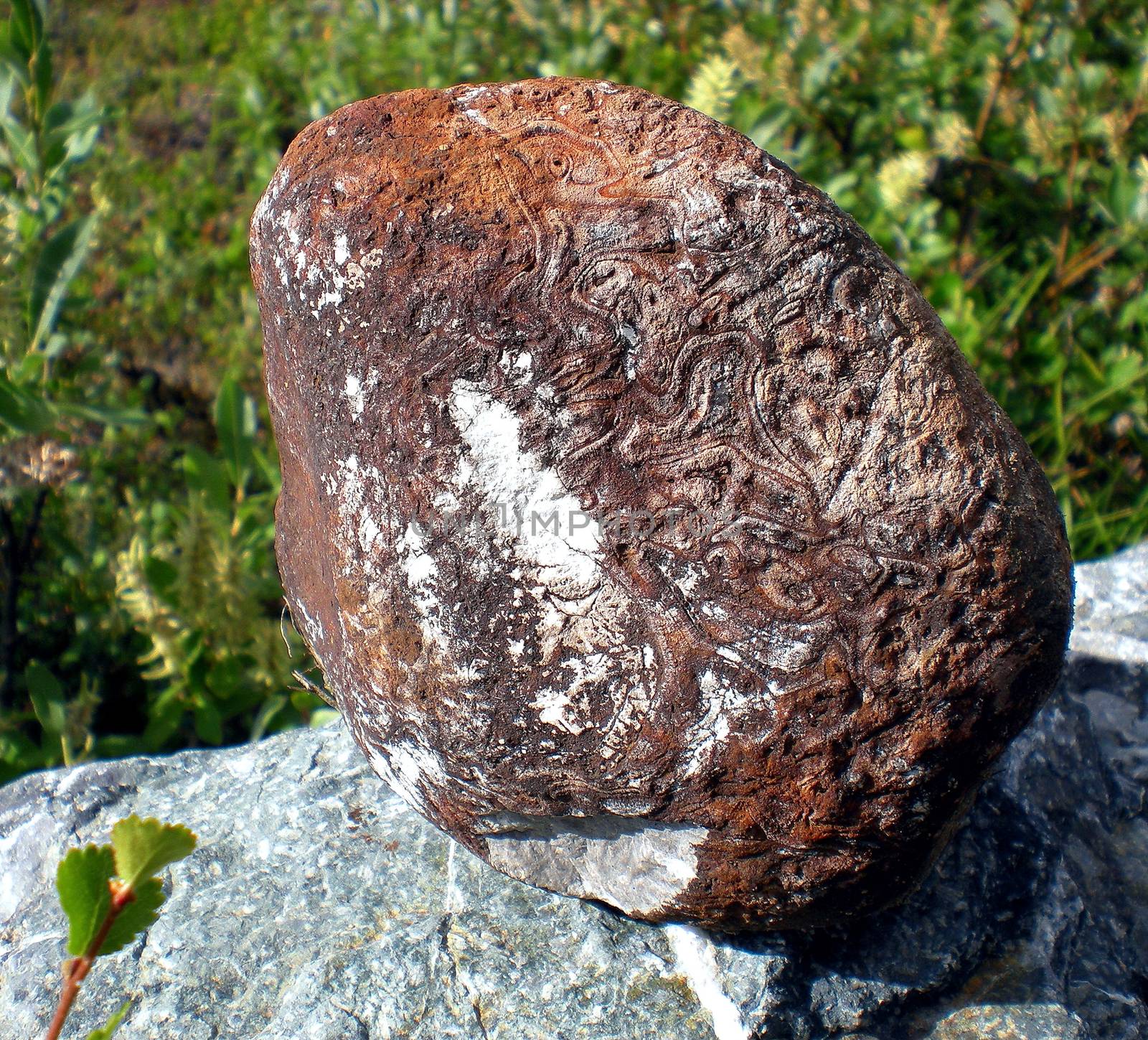 Rocks in the taiga in the Russian north. Exit to the surface of granites and basalts.