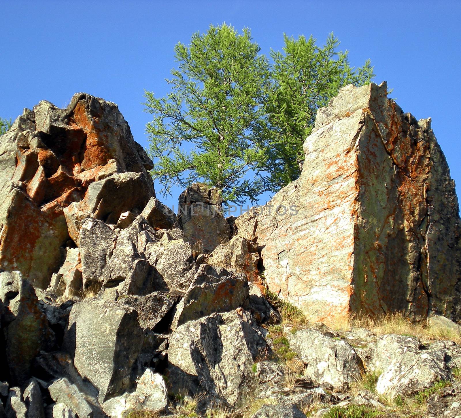 Rocks in the taiga in Russian north. Exit to the surface of granites and basalts. by DePo