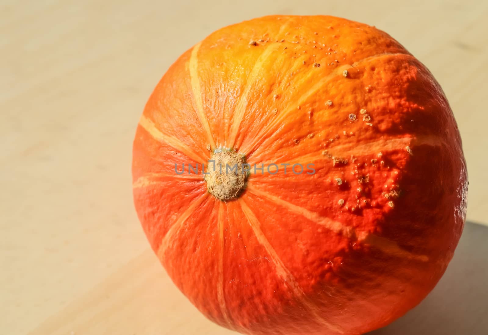 Beautiful orange pumpkin on a wooden background during helloween