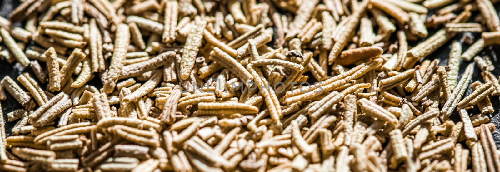 Rosemary closeup on luxury stone background as flat lay, dry food spices and recipe ingredients