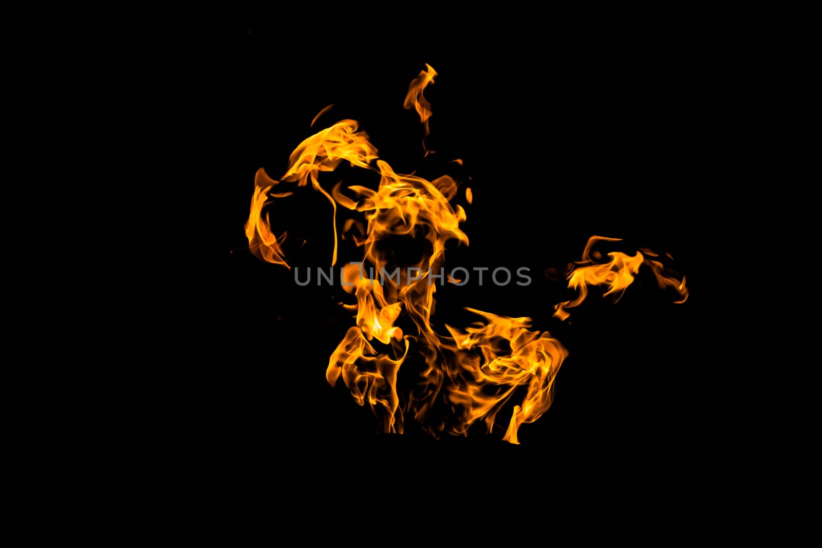 Fire flames on black background isolated. Burning gas or gasolin by YevgeniySam