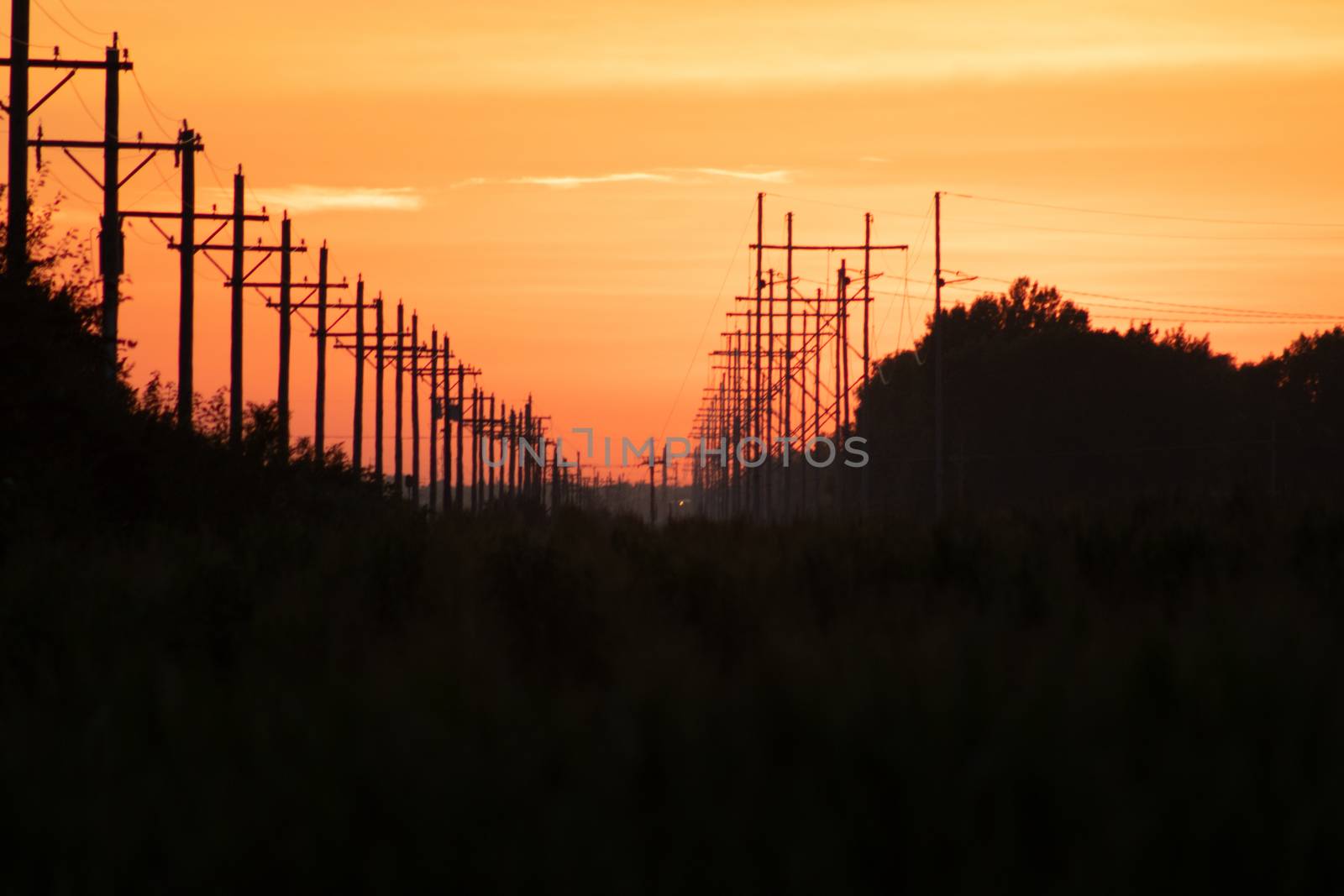 Rail Road crossing and tracks at sunset by gena_wells