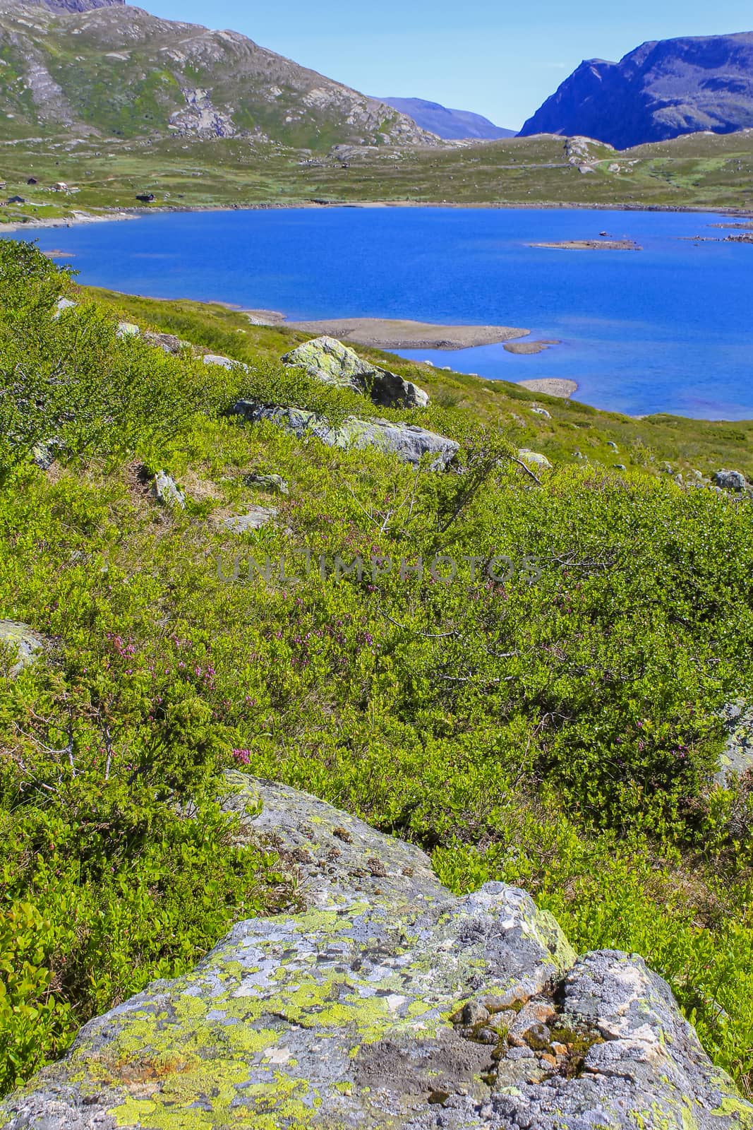 Beautiful Vavatn lake and mountains in the summertime in Hemsedal, Viken, Norway.