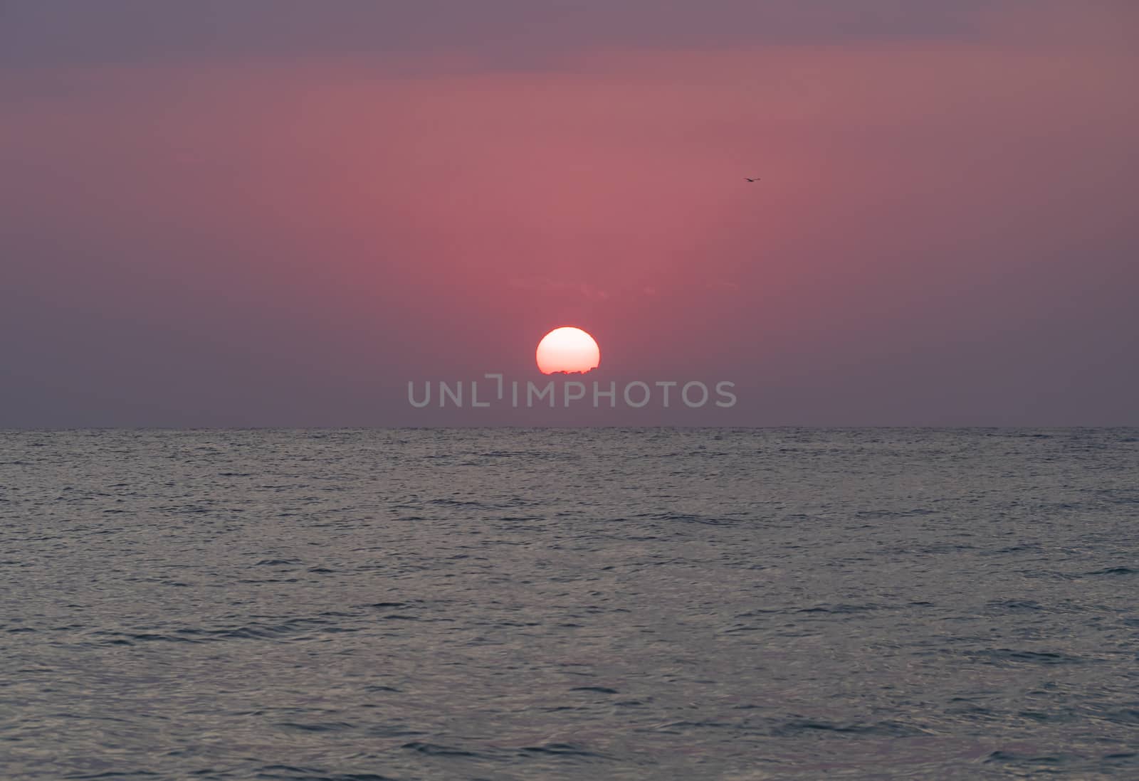 big sun down over sea sunrise, red sky