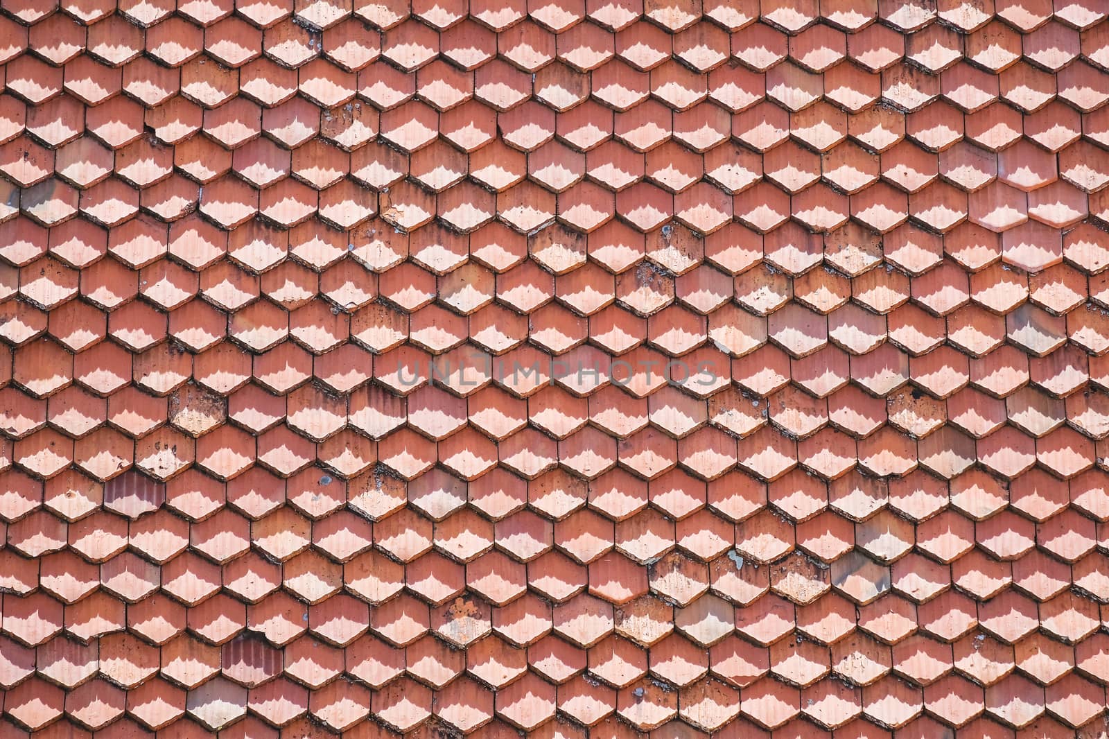 Roof tiles pattern in daylight