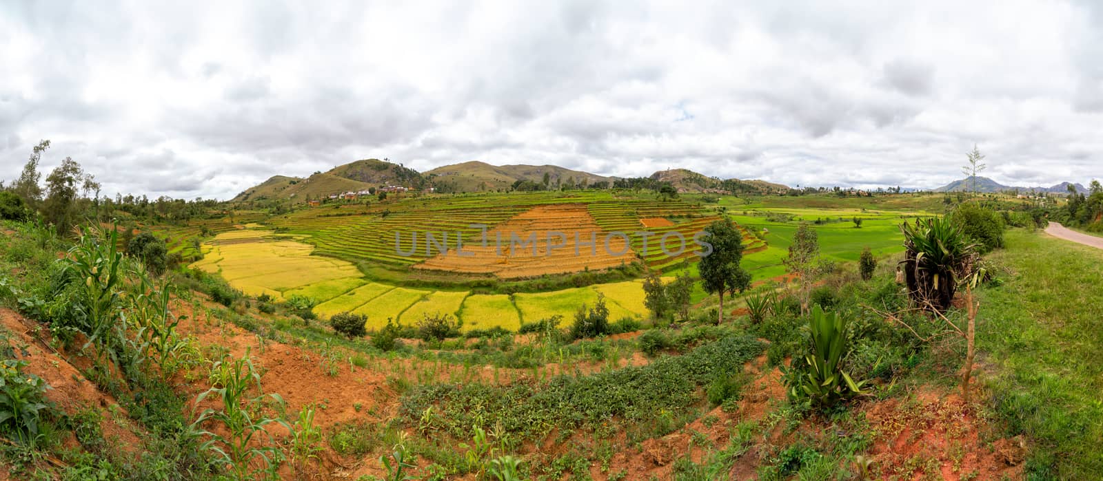 The Panoramic shots of landscape images on the island of Madagascar