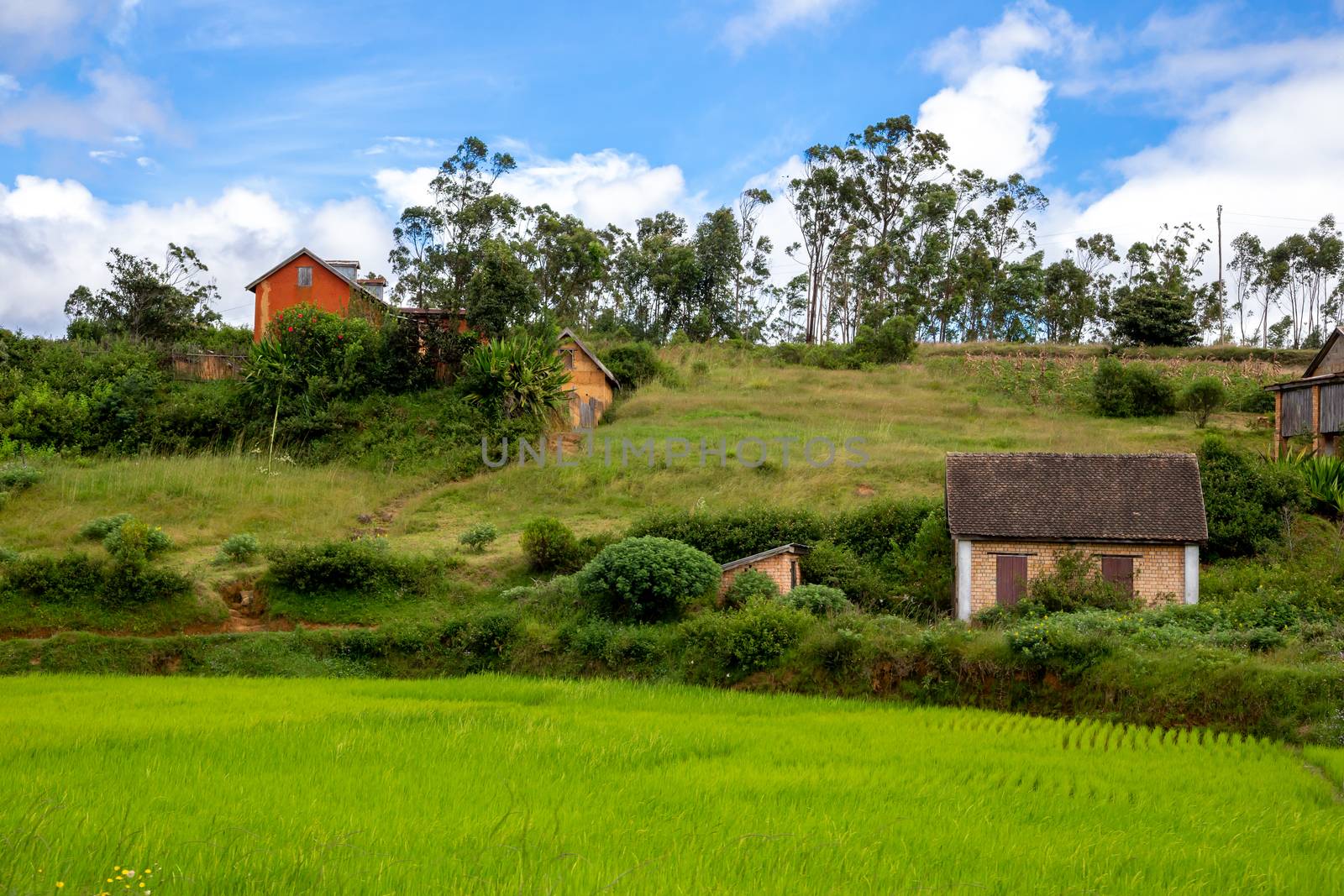 The Landscape shots of beautiful landscapes on the island of Madagascar