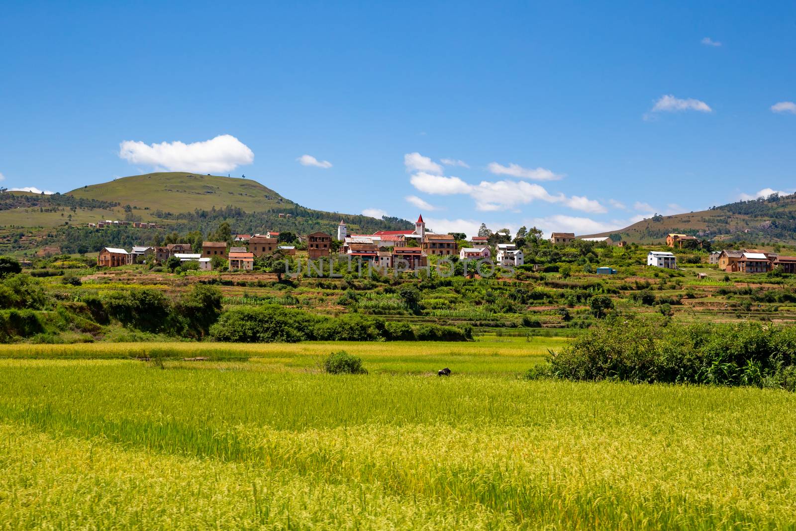 The Landscape shots of green fields and landscapes on the island of Madagascar