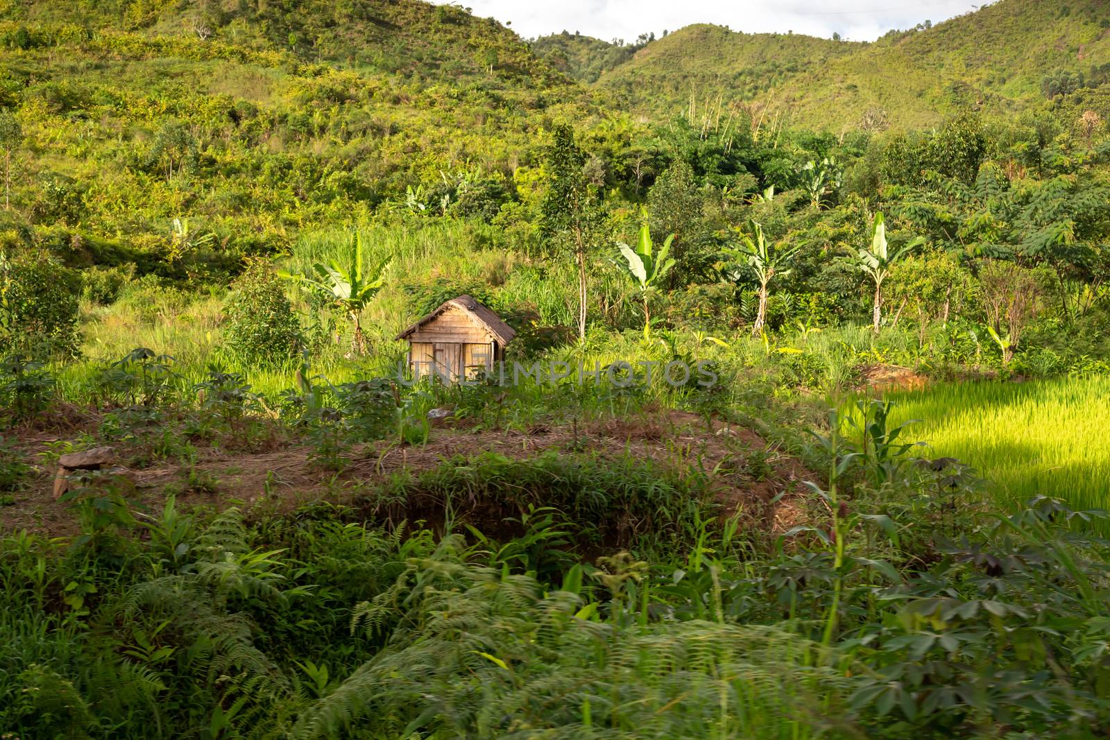A landscape pictures of the country of Madagascar, with mountains and meadows