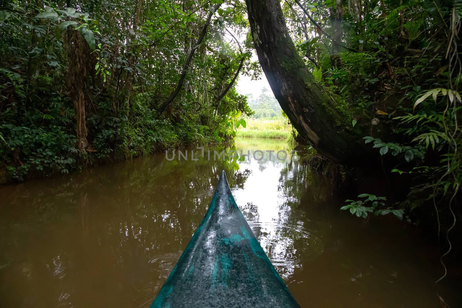 The boat ride on the water in the rainforest on the island of Madagascar