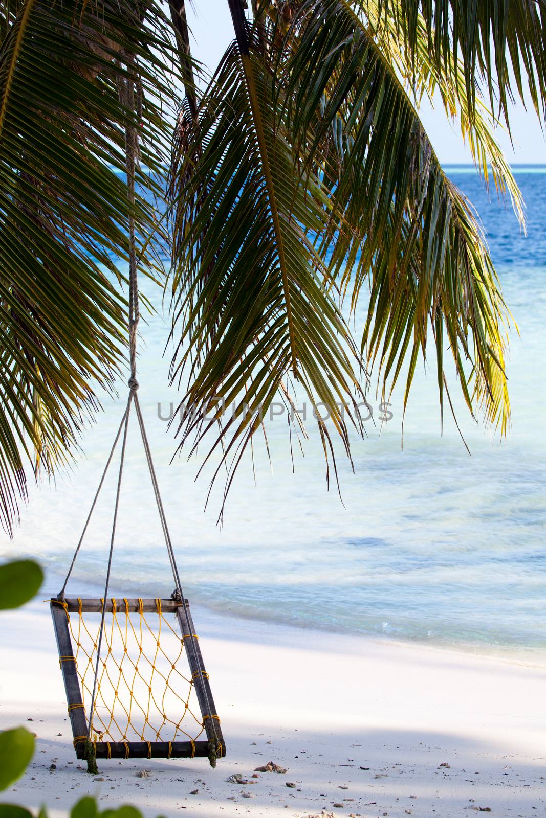 Swing on the beach with palm leaves