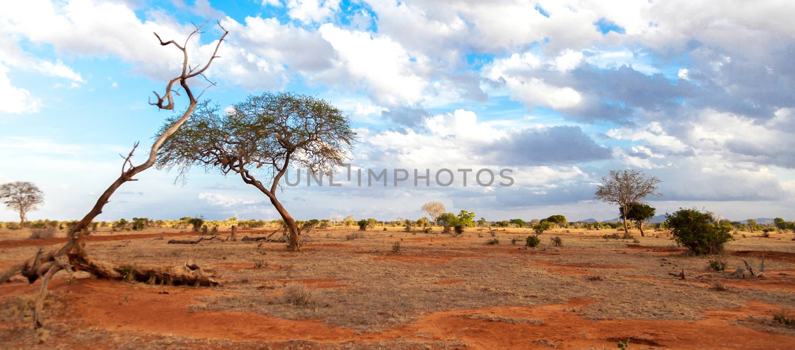 Scenery of the savannah of Kenya, on safari by 25ehaag6