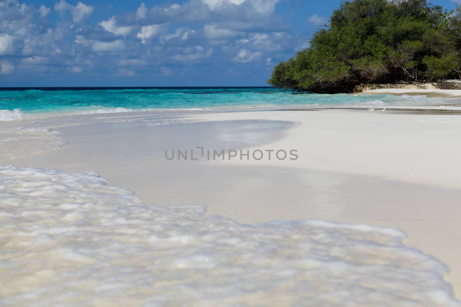 The beach on an island with waves