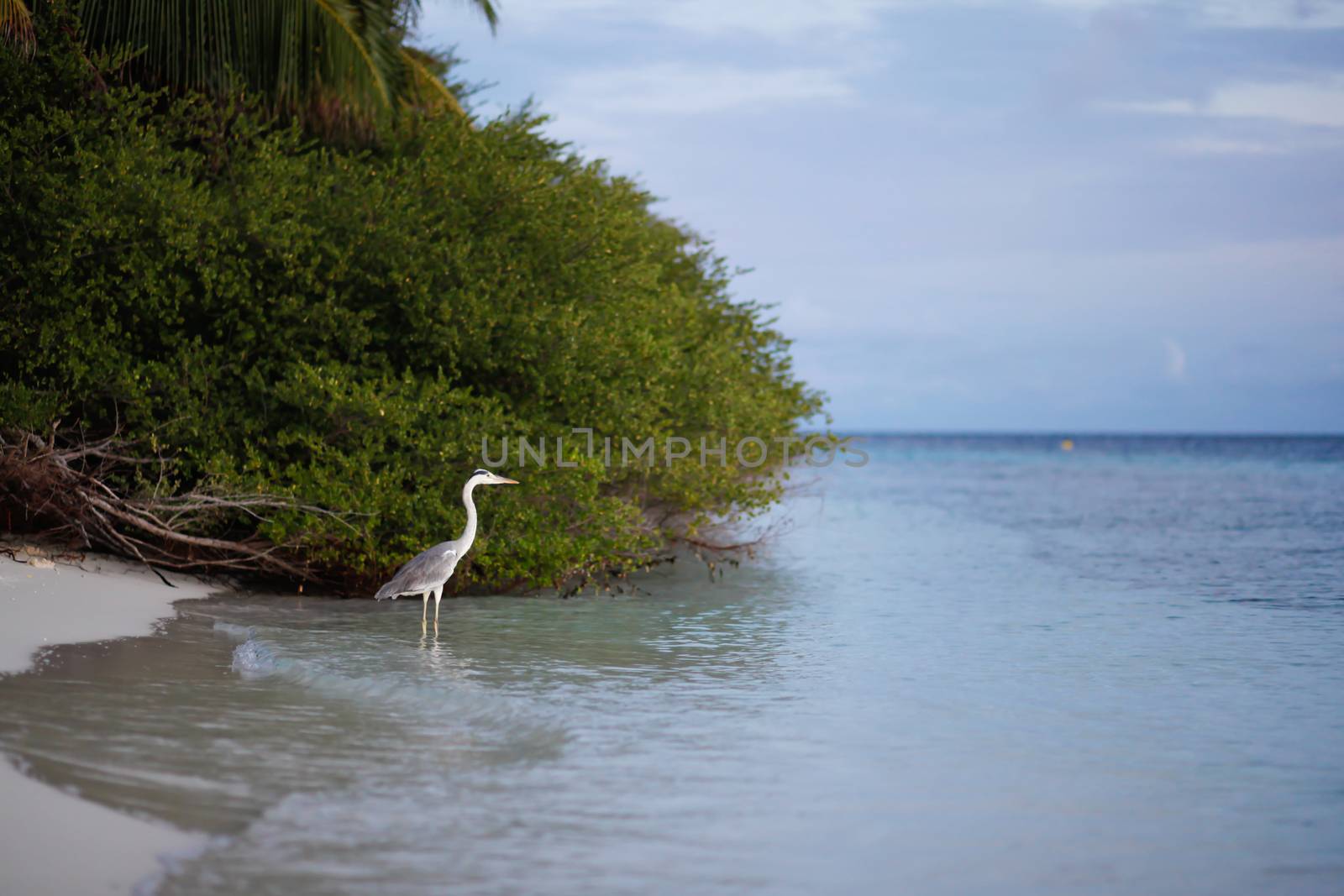Sunrise on the beach on an island in the ocean