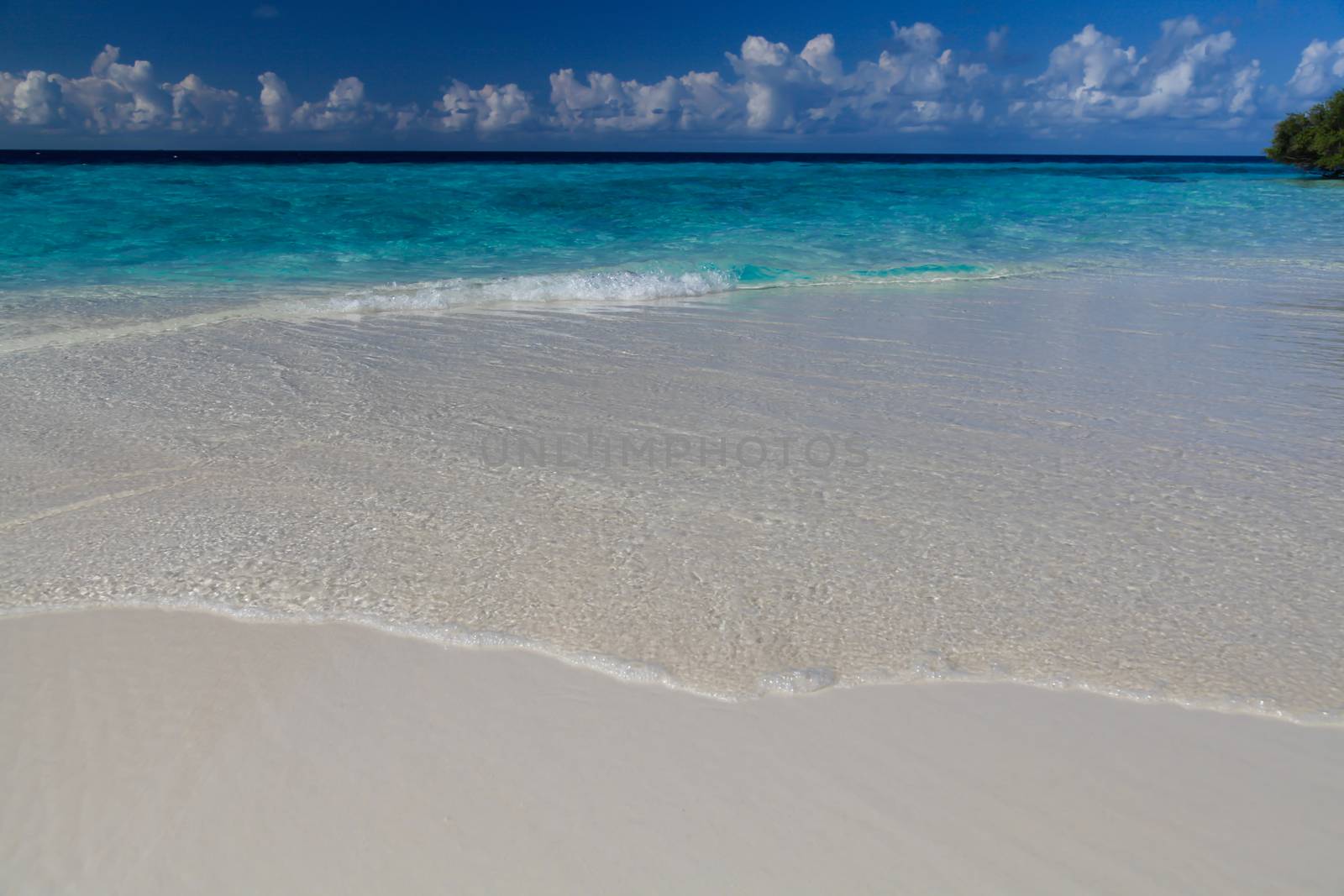 The beach on an island with waves