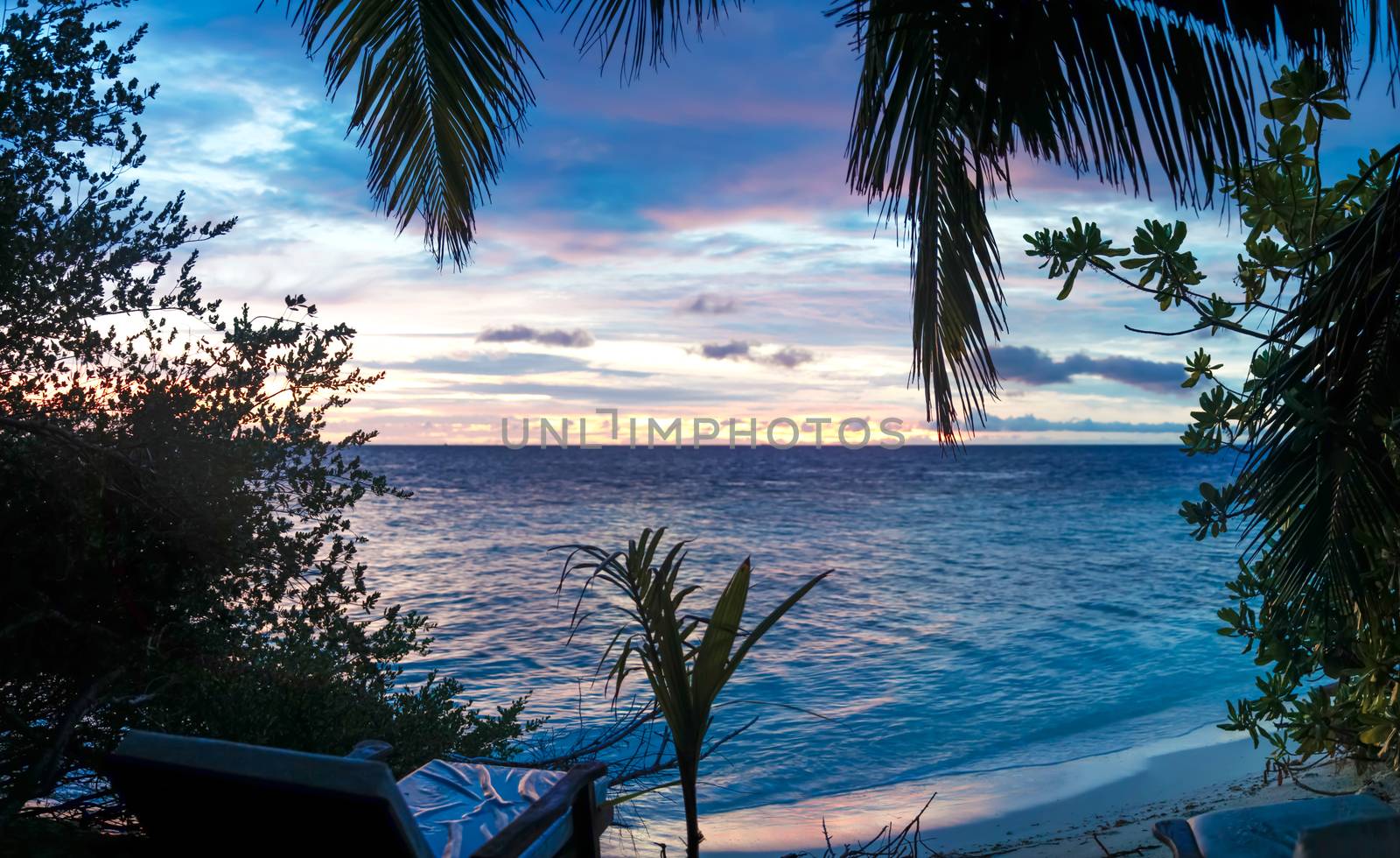 Sunset on the beach with a lot of plants