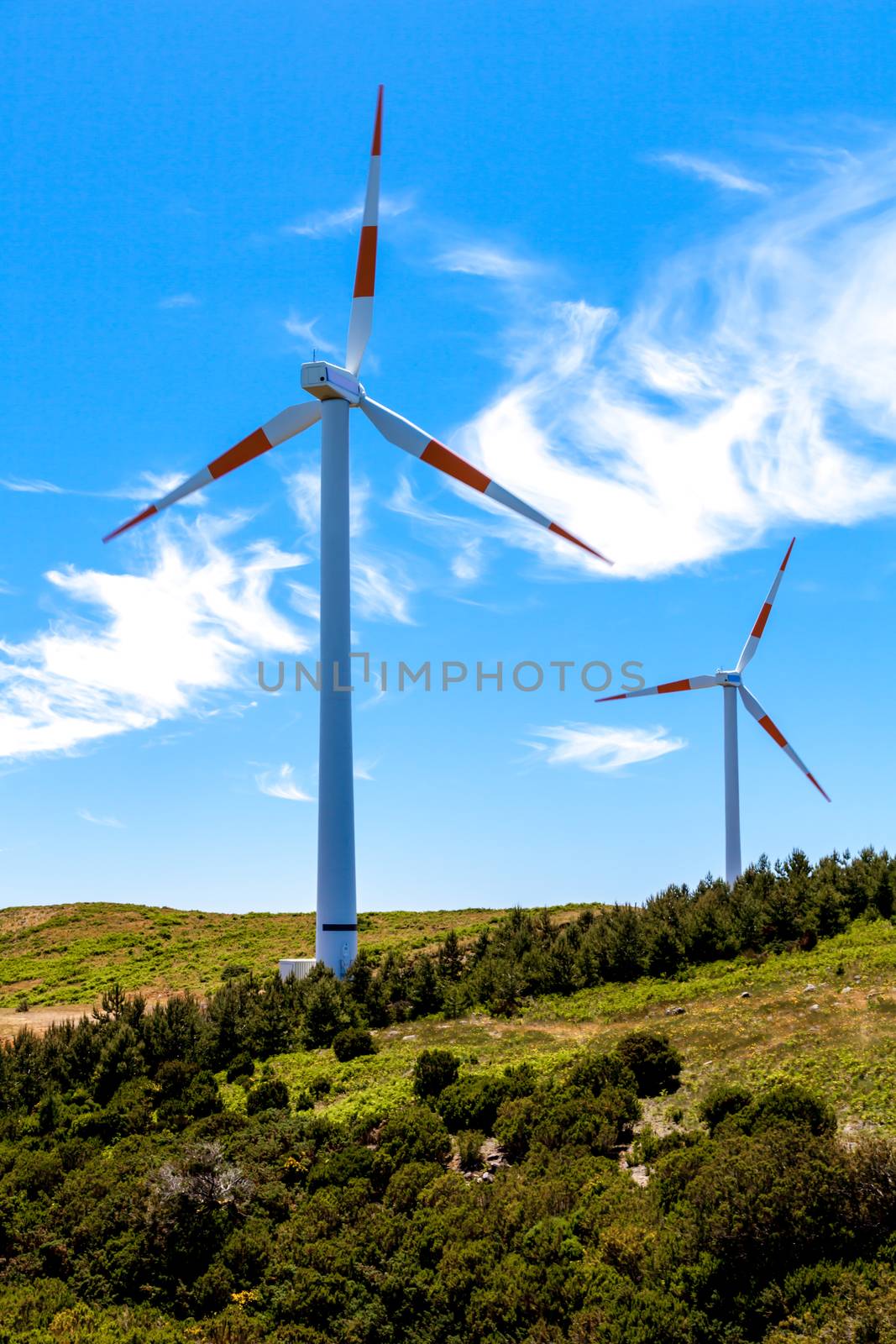 Eco power wind turbines landscape
