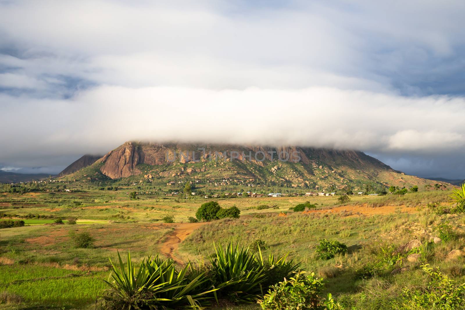 The Landscape shots of green fields and landscapes on the island of Madagascar