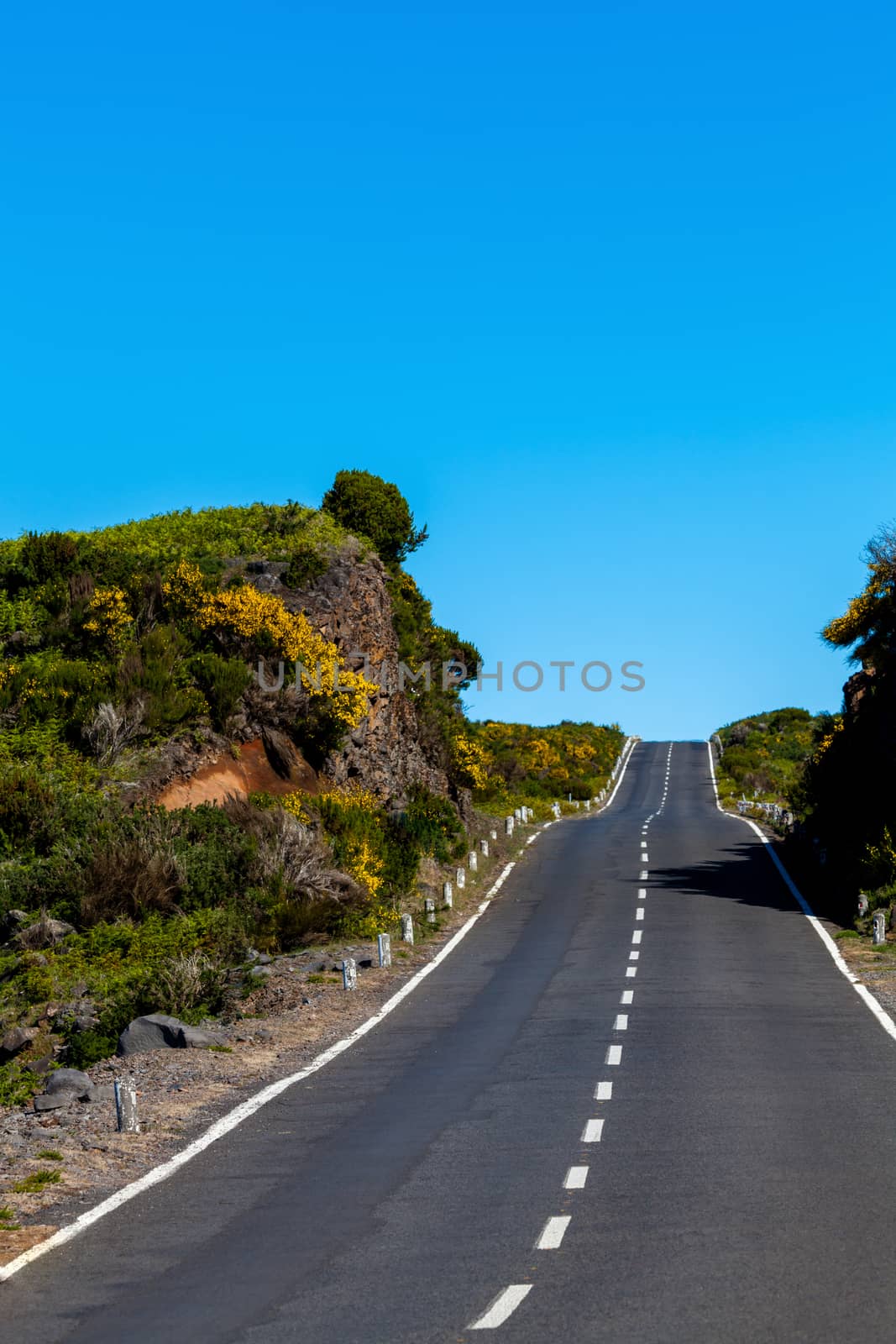 asphalt road through the green field and clouds on blue sky