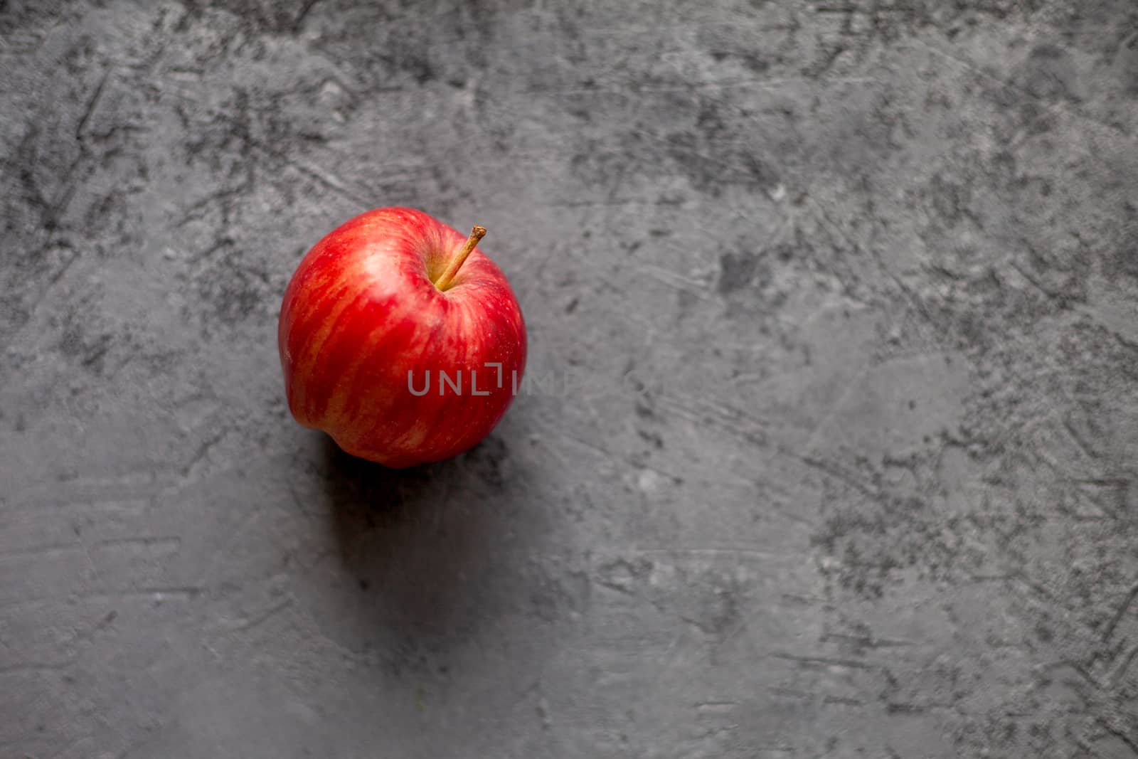 one Ripe garden red apples on gray concrete. Fruits concept of the fall harvest. Space for text.