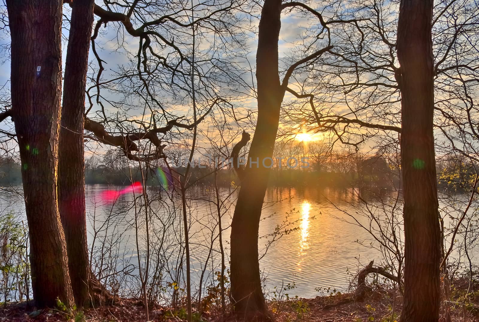 Beautiful sunset landscape at a lake with a reflective water surface.