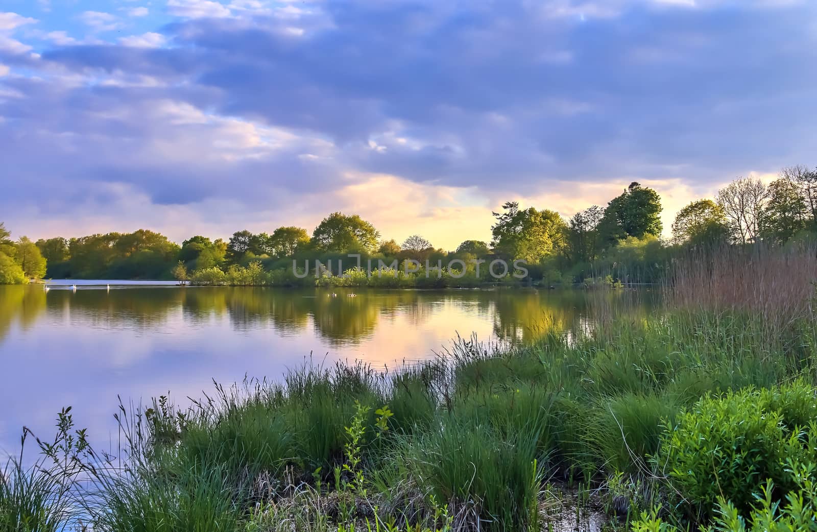 Beautiful sunset landscape at a lake with a reflective water surface.