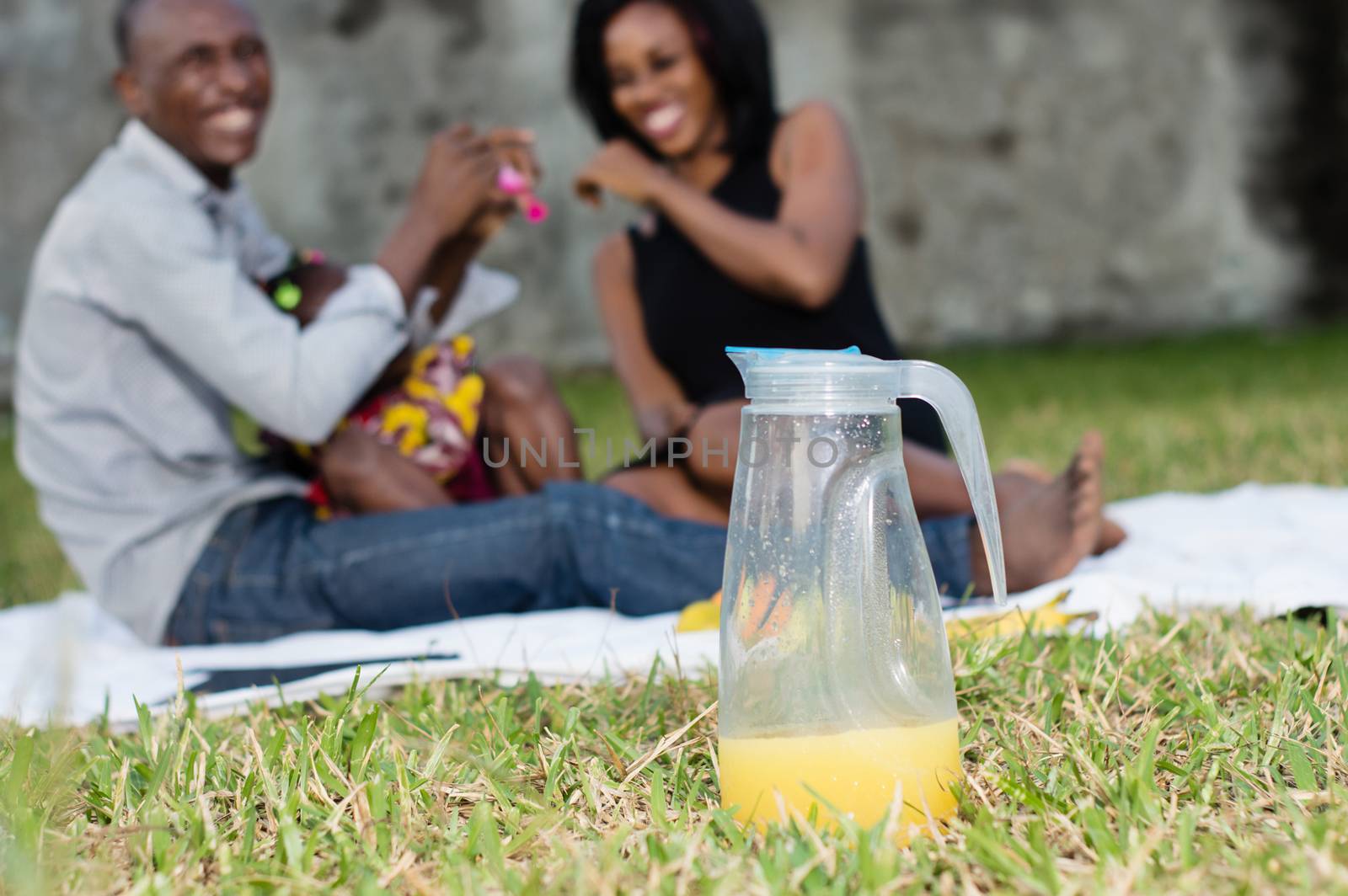 Good family sat on the grass in the park with their child and played together during the picnic