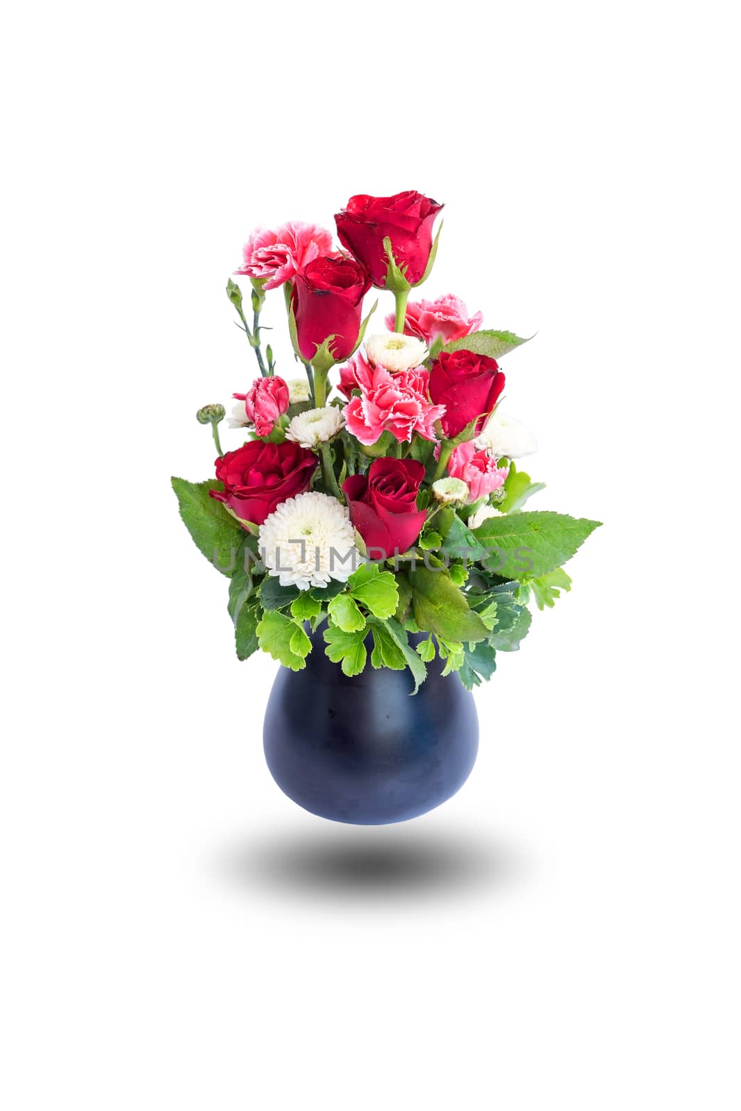 Roses in ceramic vase isolated on white background.
