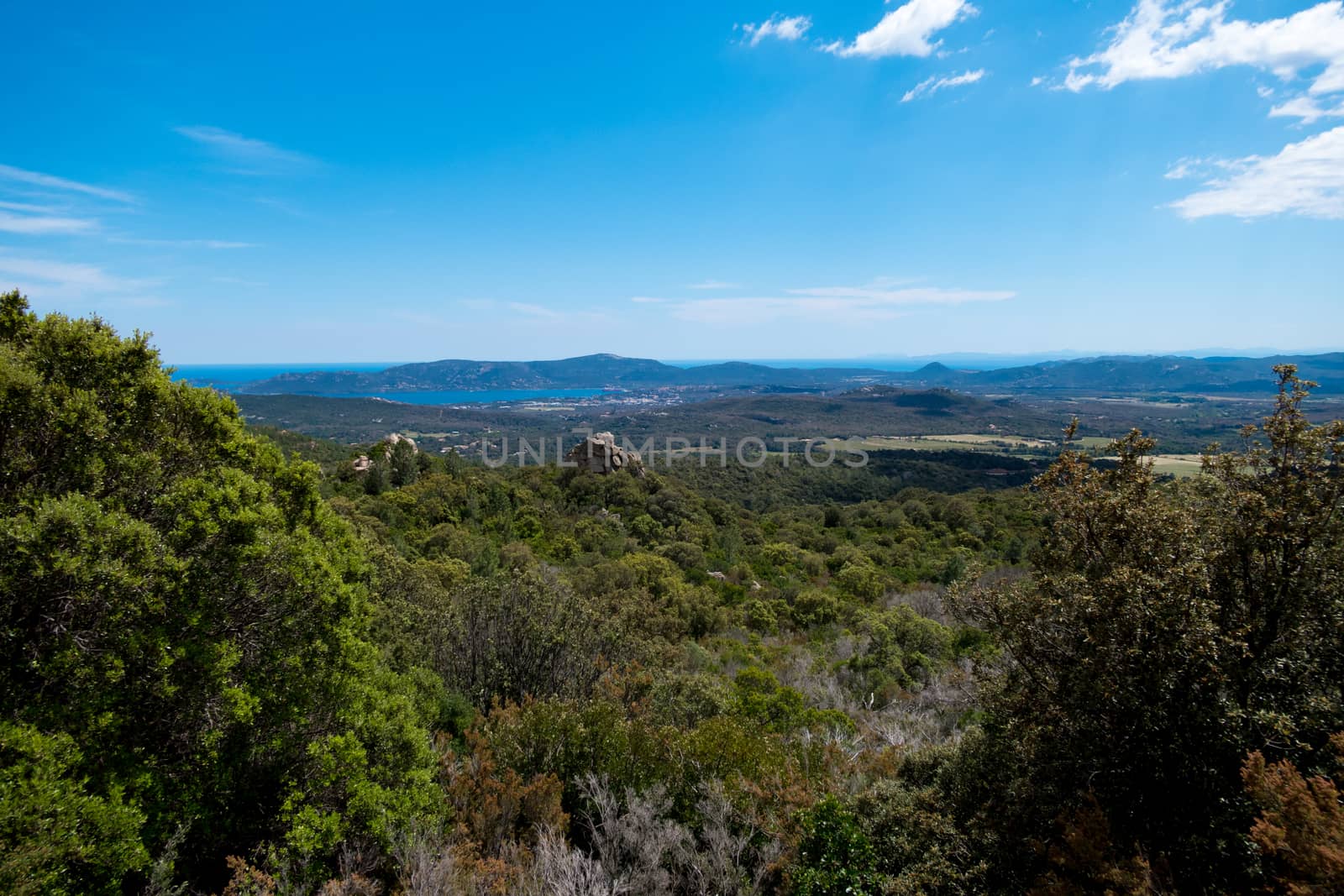 A landscape shot with green forests, mountains and a blue sky