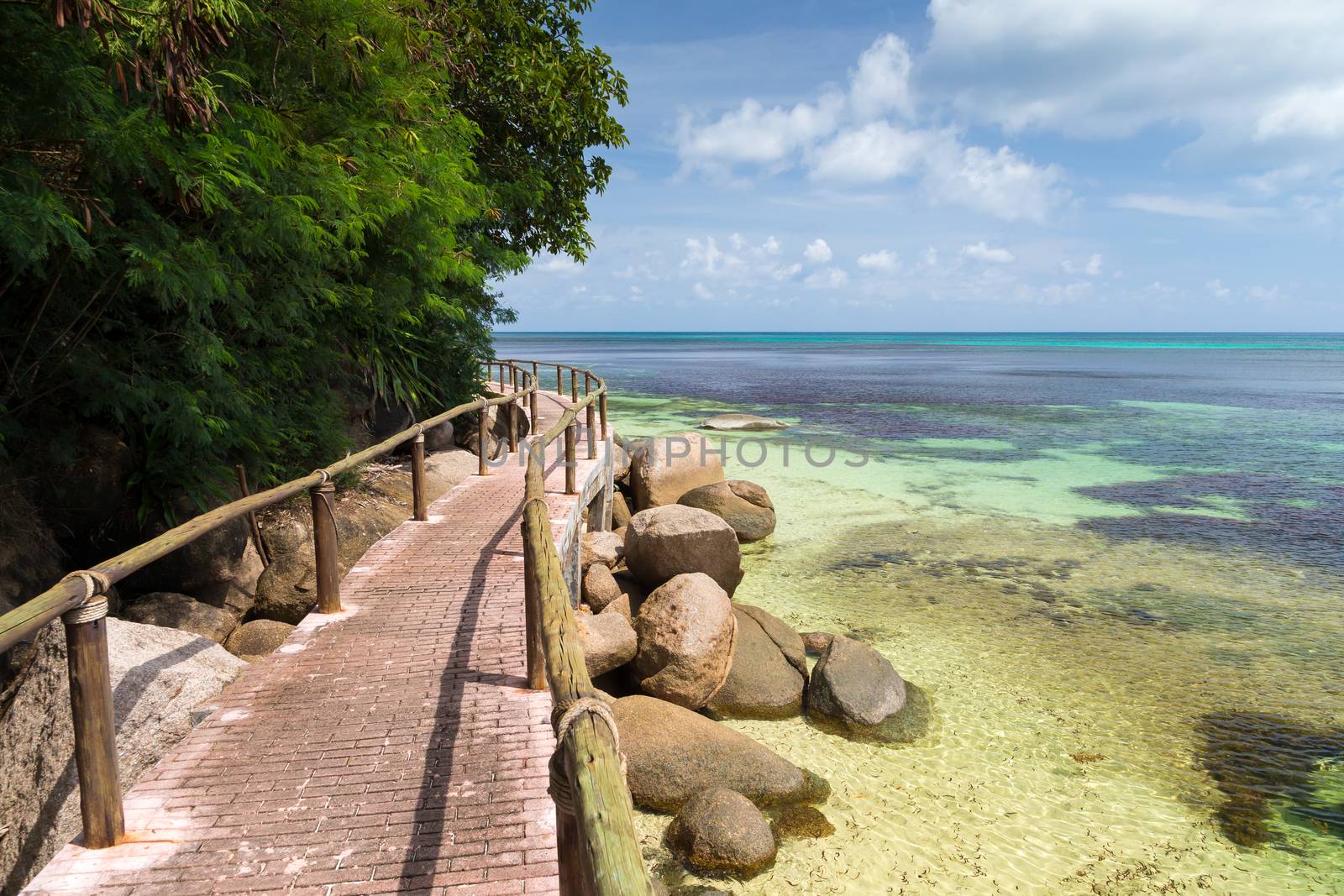 Pathway by the ocean with big stones and green plants