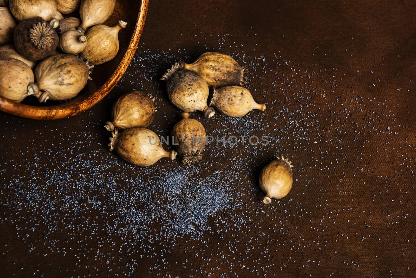 Wooden bowl full of scattered harvested poppy pods (Papaver somniferum) with many blue ripe poppy seeds lying on the brown background around