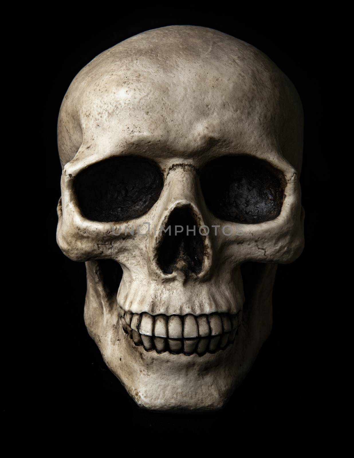 Scary human skull on a black background by fyletto