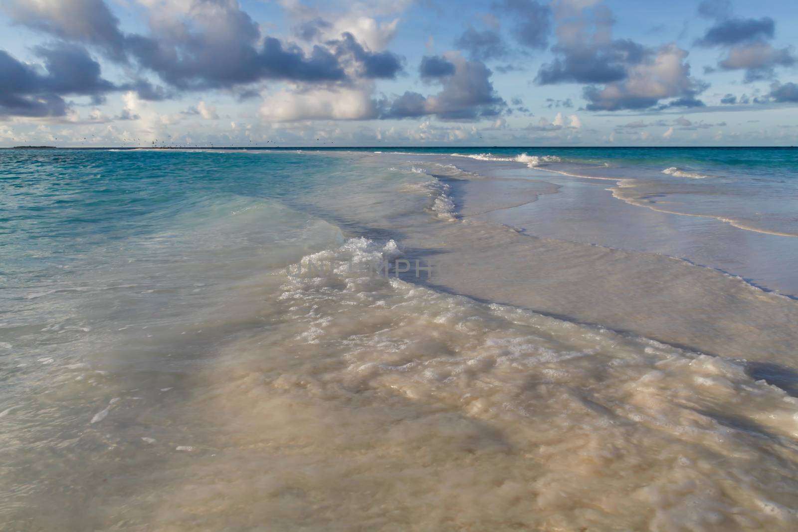 The beach on an island with waves