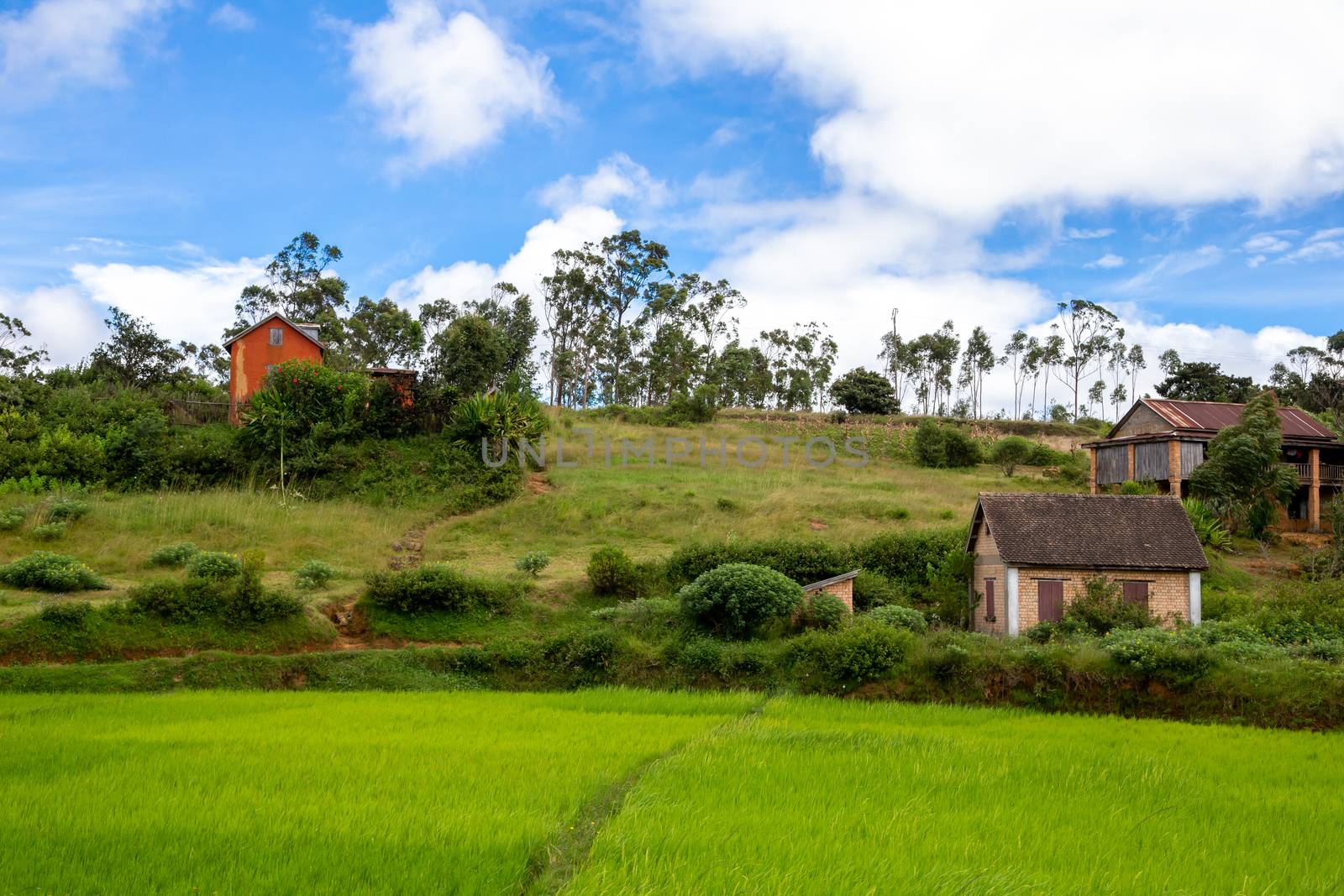 The Landscape shots of beautiful landscapes on the island of Madagascar