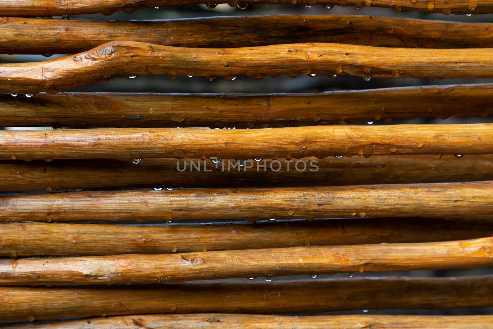 A Background from a wooden mesh or wood
