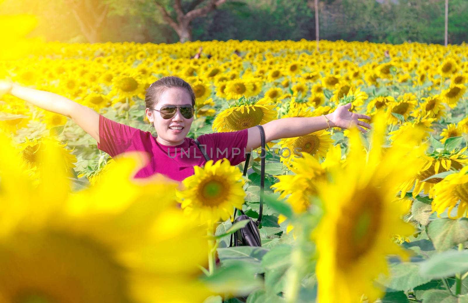 Asian woman wearing sunglasses standing poses in the middle of sunflower fields.