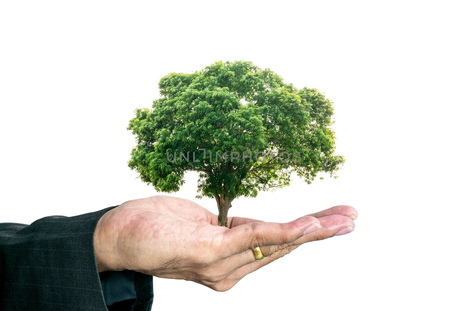 Hand of young businessman.