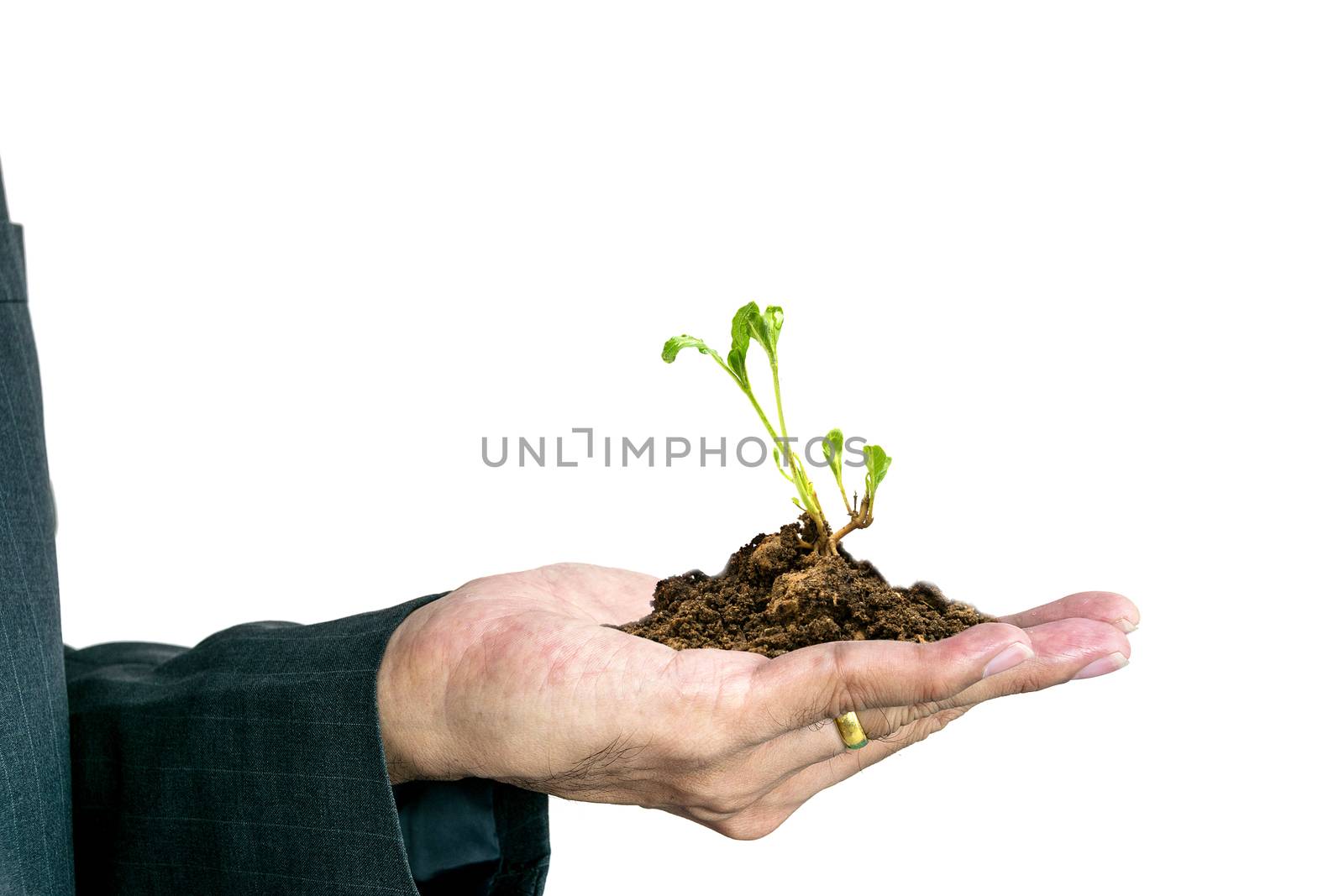 Hand of young businessman.