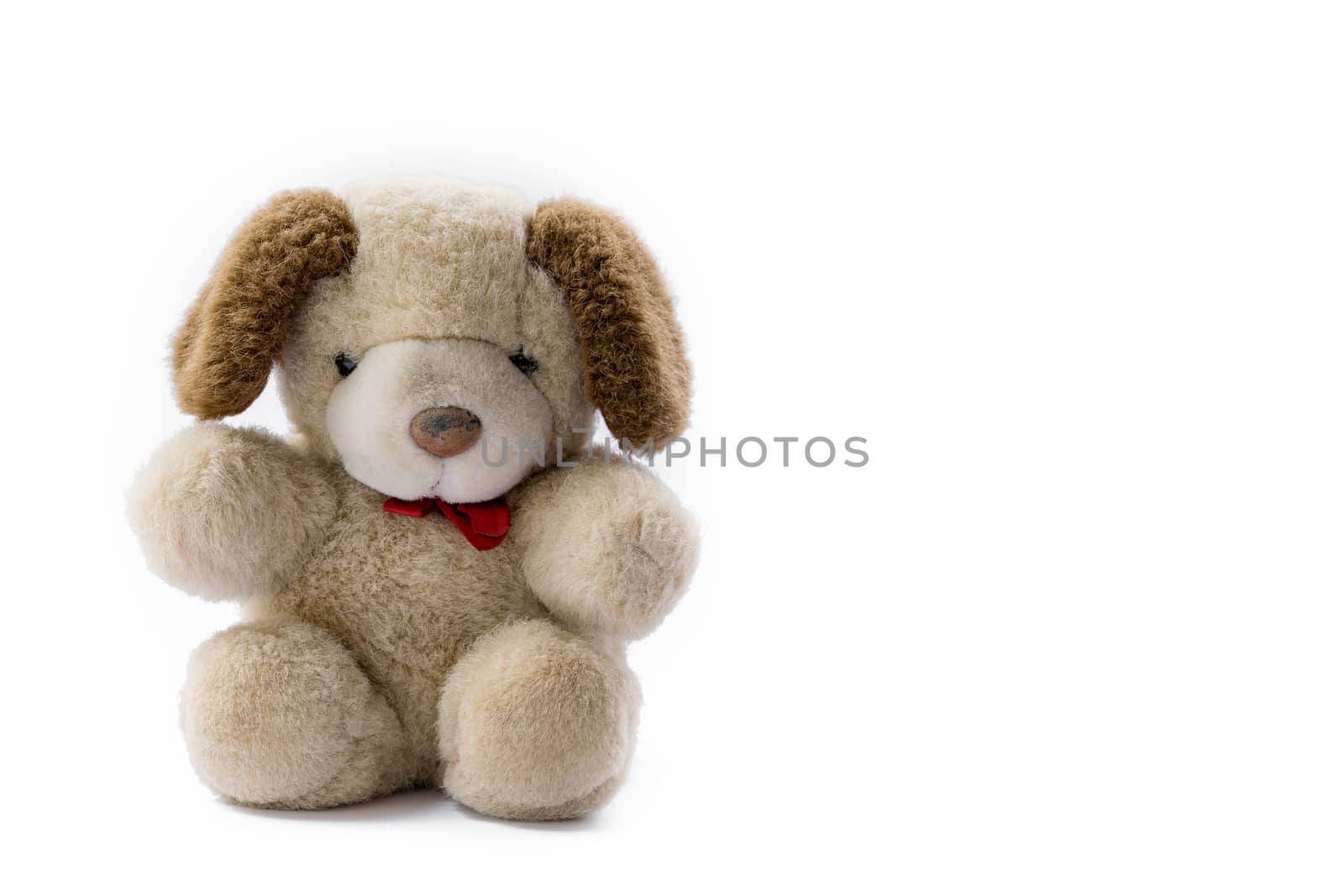 Cute teddy bear. by wattanaphob