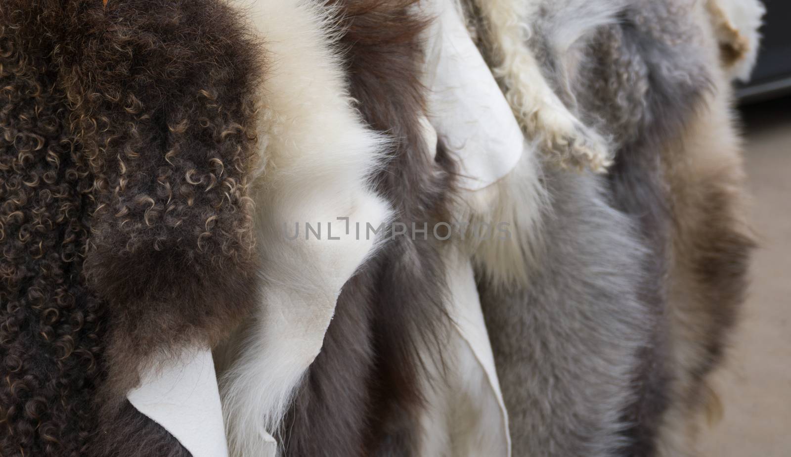 A counter with hanging multi-colored natural furs. Farmer's market